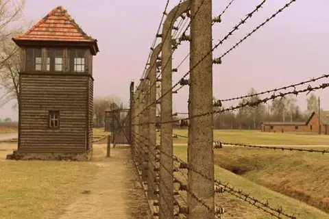 Wired Border