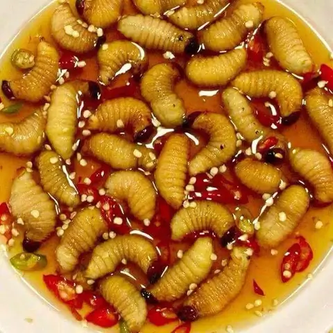 Đuông Dừa
