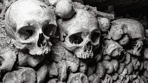 Dark Tourism
