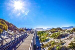 10 Cape Town Tourist Attractions