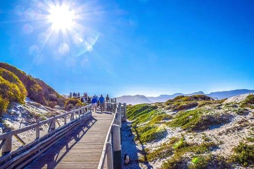 10 Cape Town Tourist Attractions