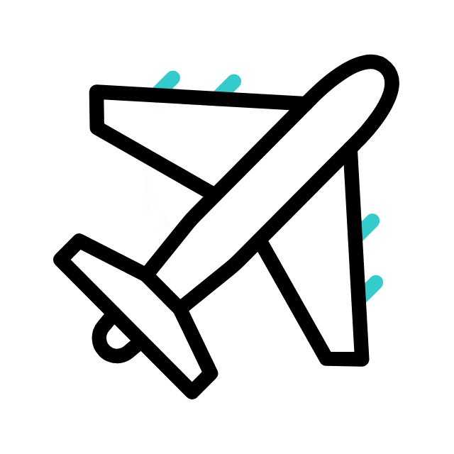 Travel Flights