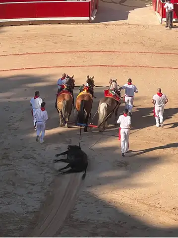 Dragging of the Bull 