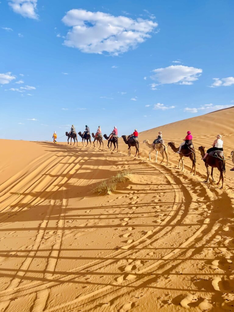 Riding camel