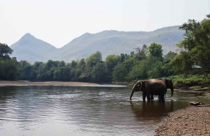 Elephant sanctuaries