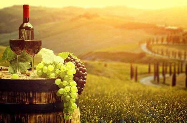 Hua Hin Hills Vineyard