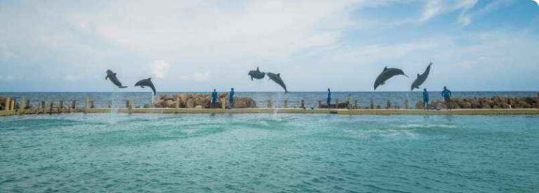 Ocho Rios Shore Excursions
