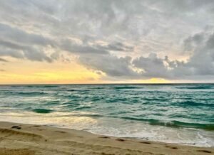 Paloma Beach view