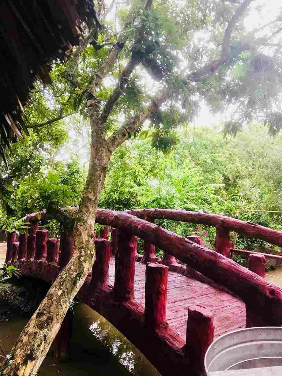 Strategic Planning for a Budget-Friendly Voyage