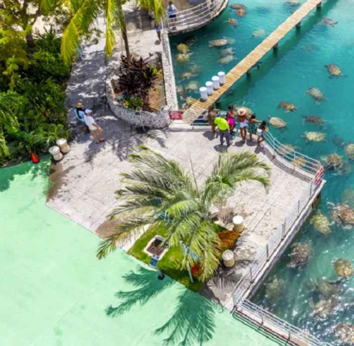Visit in the Cayman Islands