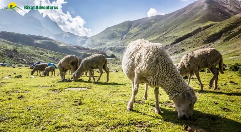 trekking in India