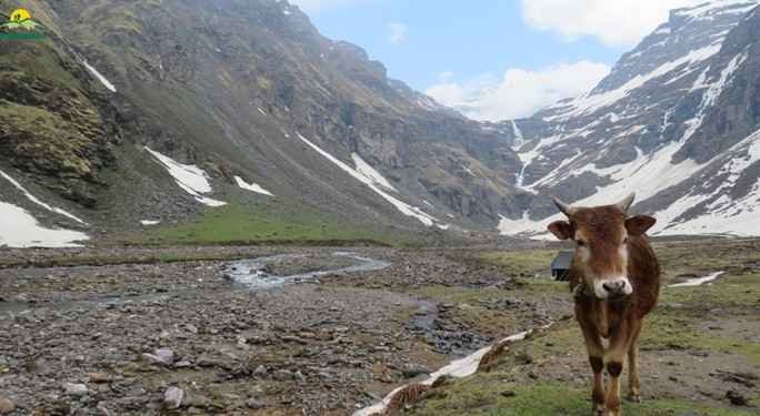 How to Reach Rupin Pass Trek