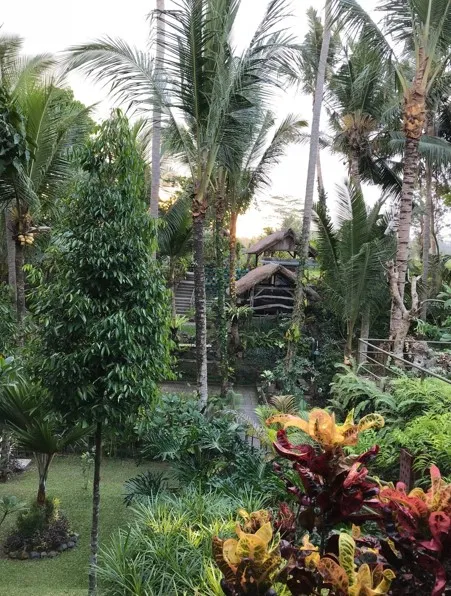 Bali