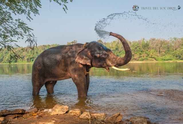 Chitwan