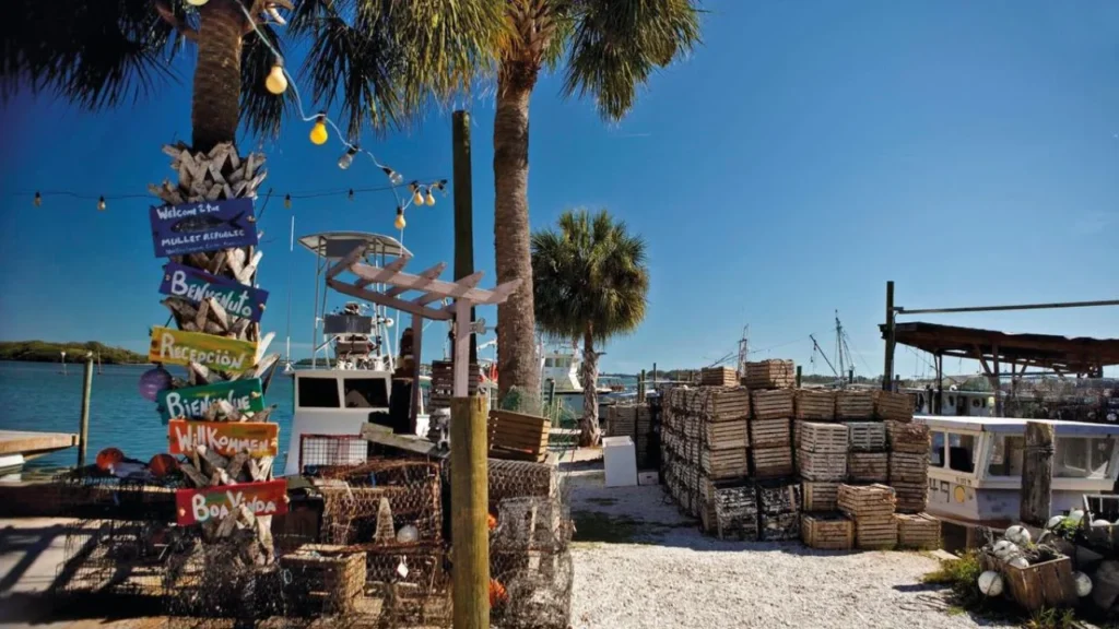 Things to Do Near Cortez Beach Florida