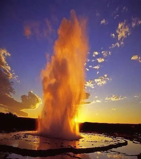 Nature-Experience