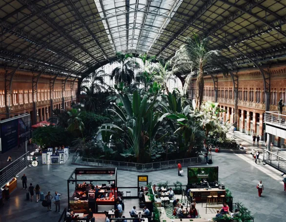 Royal Botanical Garden of Madrid