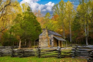 Great Cabin