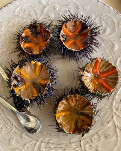 Maine Seafood Uni (Sea Urchin) 
