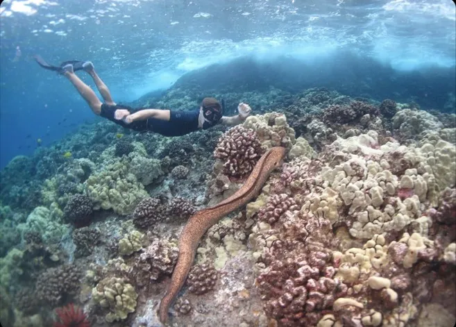 Molokini Crater